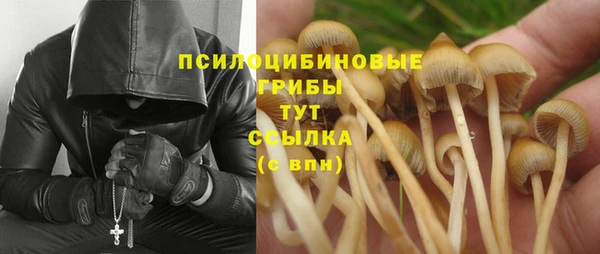 гидропоника Бородино