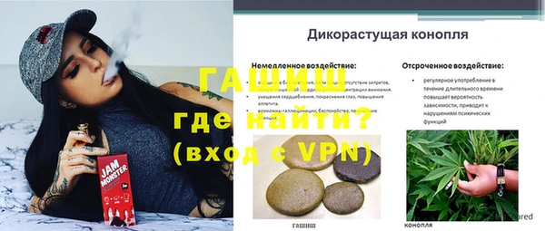 гидропоника Бородино