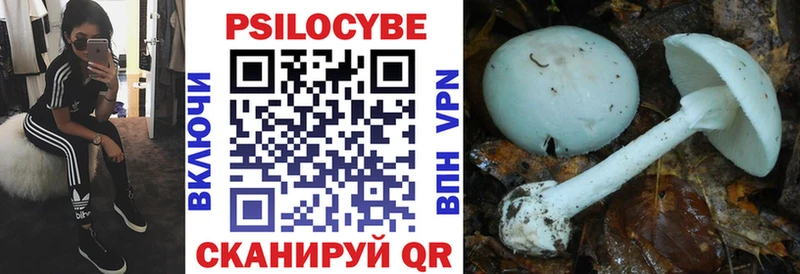 Галлюциногенные грибы мухоморы  Кинель 